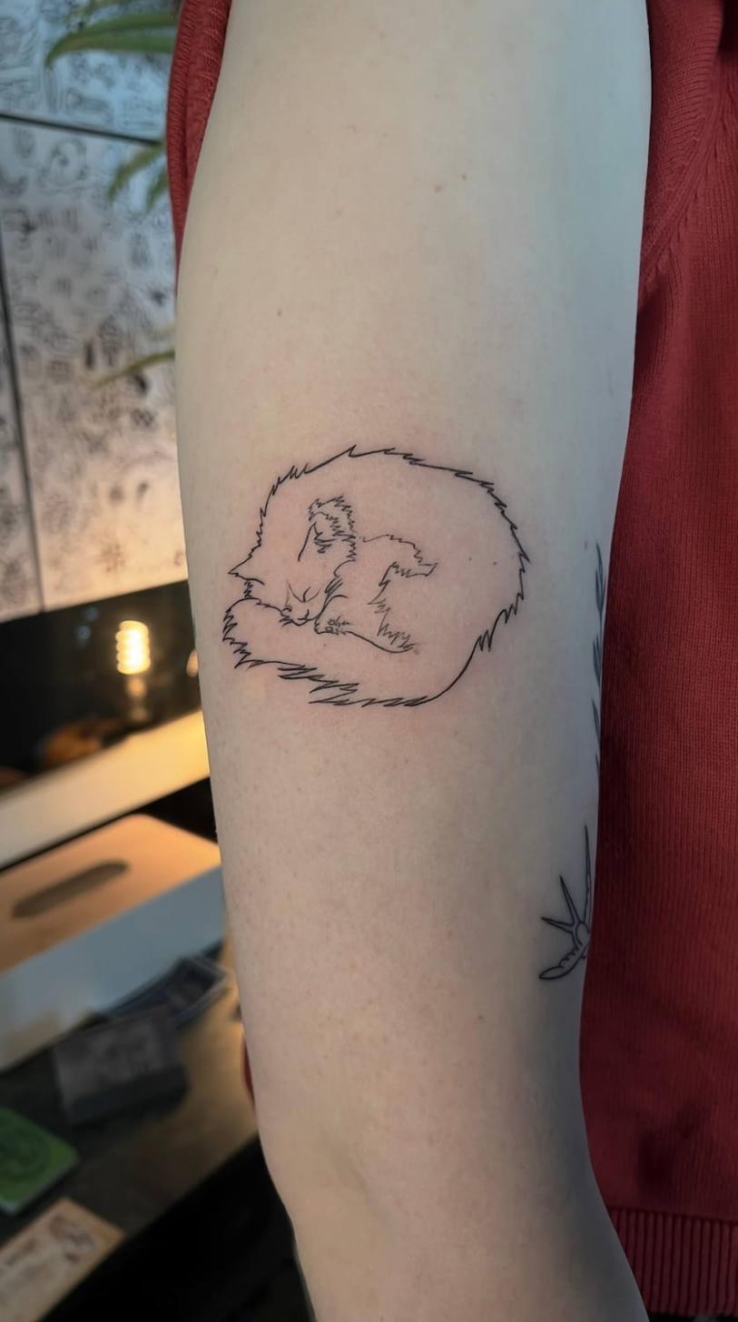 Fine line tatuerare Uppsala — sovande katt, konturlinje