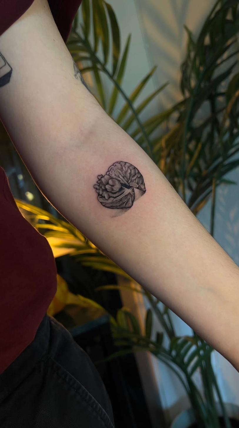 Mikrorealism tatuering Uppsala — valnöt och hjärna, underarm